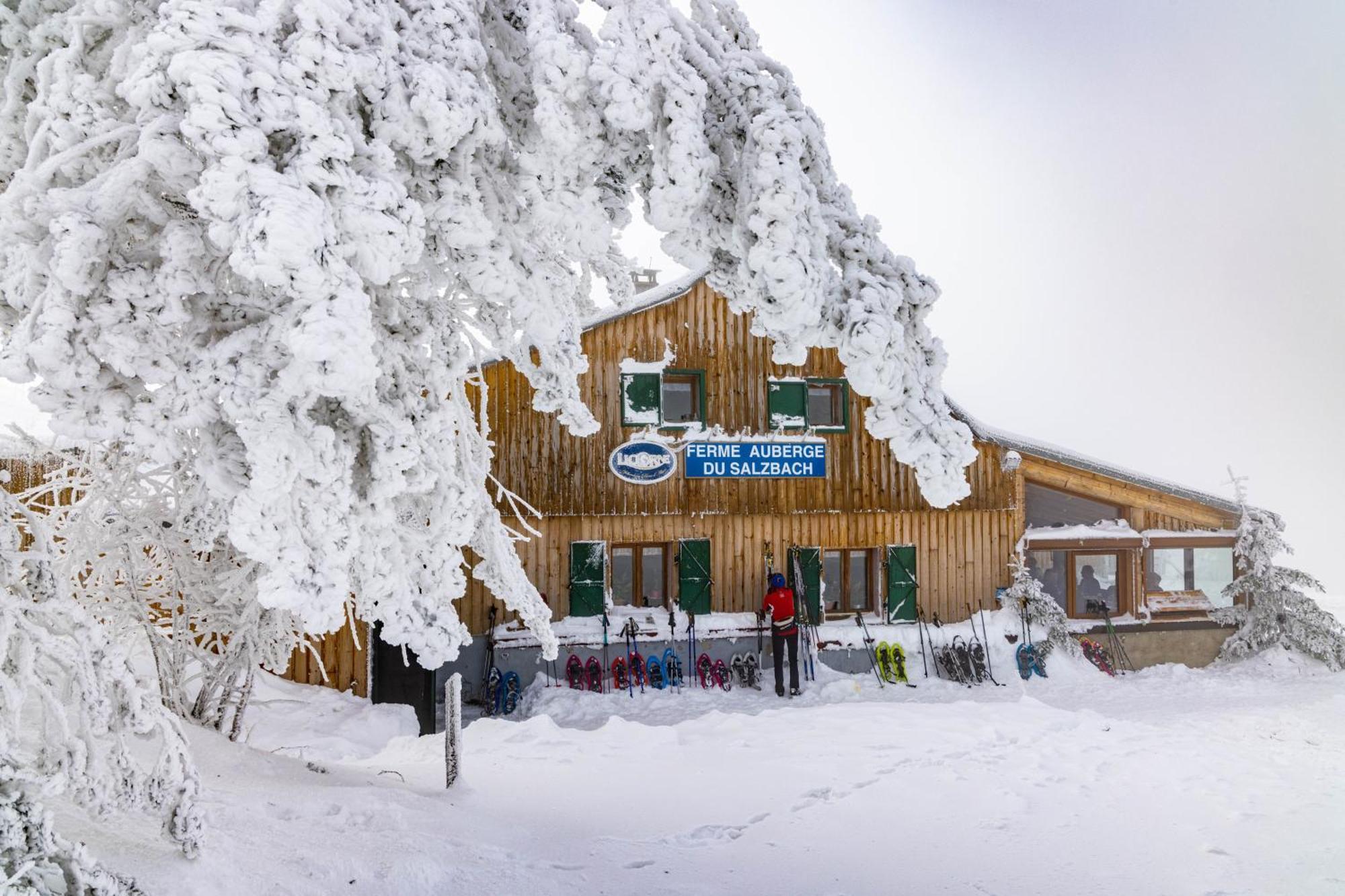 Grand Mobil 6 Personnes Climatise Avec 3 Et 2 Salles De Bains A Munster En Alsace Chalet